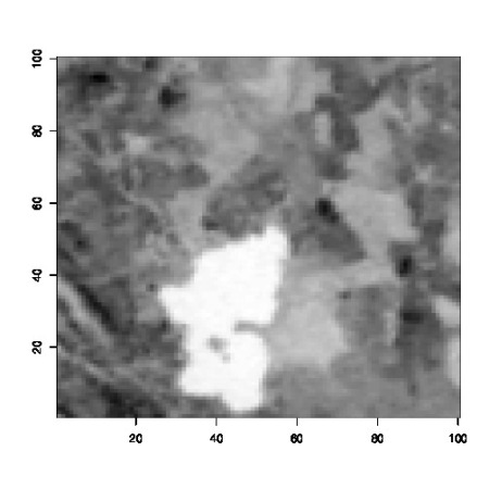 Lake Menteith Landsat image, as printed in Bayesian Core (2007)