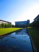 the pond in front of the Zeeman building, University of Warwick, July 01, 2014